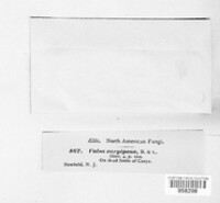 Image Associated With the Occurence